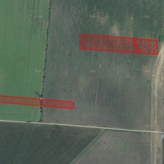 Prodej zemědělské půdy 4 946 m² Hrušky