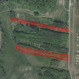 Prodej zemědělské půdy 34 015 m² Lázně Bělohrad