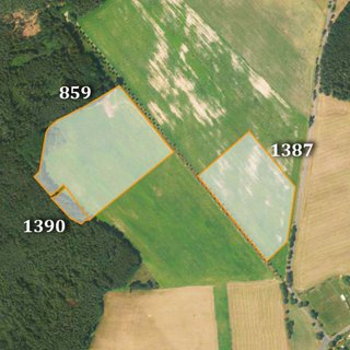 Prodej zemědělské půdy 28 494 m² Bynovec