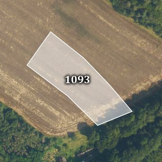 Prodej zemědělské půdy 23 453 m² Horušice