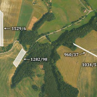 Prodej zemědělské půdy 12 832 m² Kaňovice
