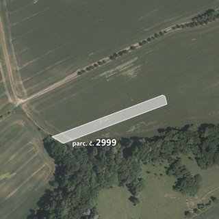 Prodej zemědělské půdy 3 691 m² Lubná