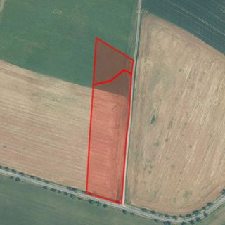 Prodej zemědělské půdy 24 718 m² Černotín