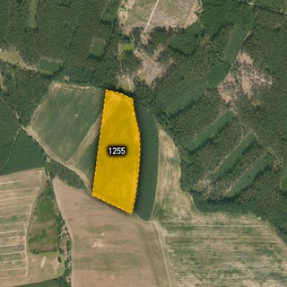 Prodej zemědělské půdy 25 017 m² Blížejov