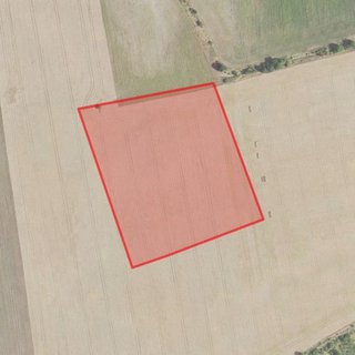 Prodej zemědělské půdy 7 081 m² Zvoleněves