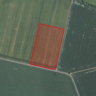 Prodej zemědělské půdy 10 790 m² Loučany