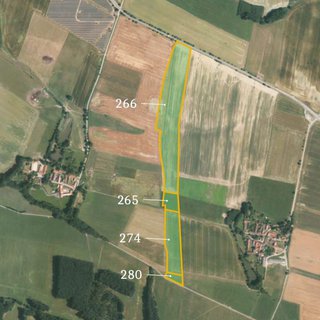 Prodej zemědělské půdy 70 268 m² Němčice