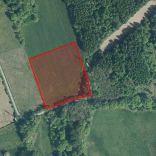 Prodej zemědělské půdy 16 188 m² Doubrava