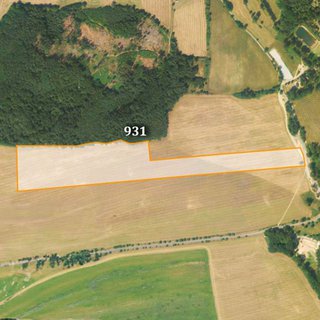 Prodej zemědělské půdy 18 377 m² Bynovec