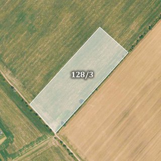 Prodej zemědělské půdy 38 253 m² Střížovice