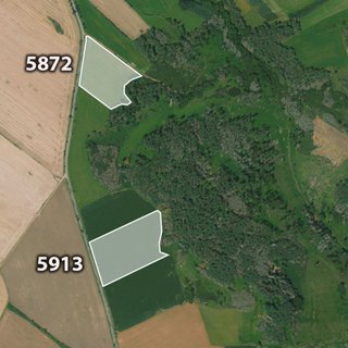 Prodej zemědělské půdy 26 341 m² Velká Bíteš