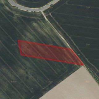 Prodej zemědělské půdy 9 659 m² Malešov