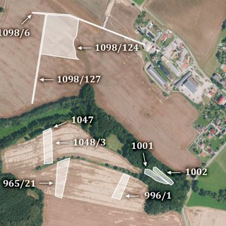 Prodej zemědělské půdy 7 815 m² Šebířov