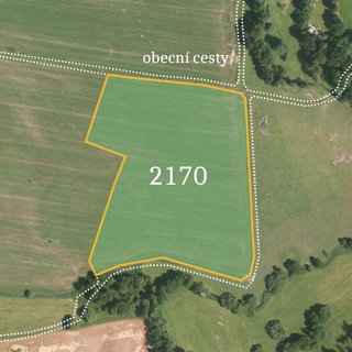Prodej zemědělské půdy 46 153 m² Předmíř