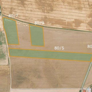 Prodej zemědělské půdy 39 994 m² Šípy