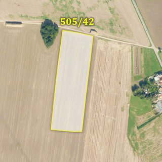 Prodej zemědělské půdy 32 647 m² Rosice