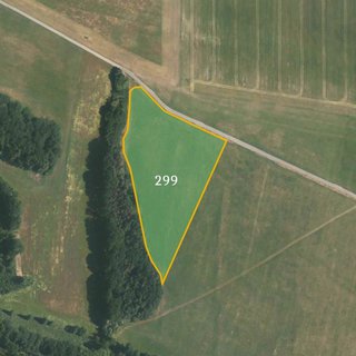 Prodej zemědělské půdy 67 288 m² Němčice