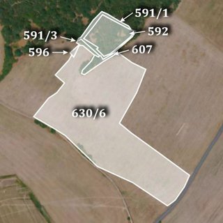 Prodej zemědělské půdy 41 967 m² Velké Žernoseky