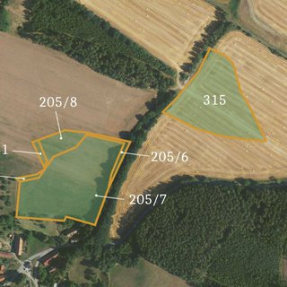 Prodej zemědělské půdy 55 679 m² Zvěstov