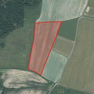 Prodej zemědělské půdy 54 957 m² Nové Lublice