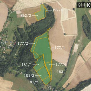 Prodej zemědělské půdy 116 245 m² Kobyly