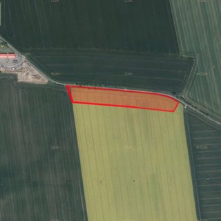 Prodej zemědělské půdy 10 023 m² Jičín