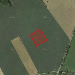 Prodej zemědělské půdy 9 585 m² Olešnice