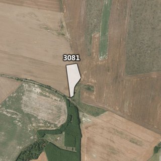 Prodej zemědělské půdy 5 344 m² Honezovice