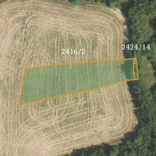 Prodej zemědělské půdy 2 155 m²