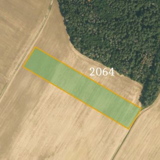 Prodej zemědělské půdy 11 604 m² Vilémov