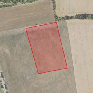 Prodej zemědělské půdy 7 077 m² Zvoleněves