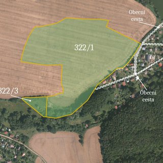 Prodej zemědělské půdy 61 515 m² Čisovice