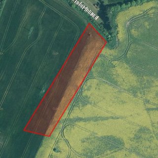 Prodej zemědělské půdy 4 916 m² Dražíč