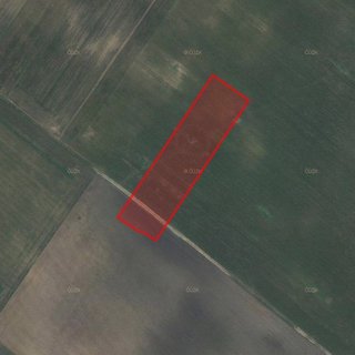 Prodej zemědělské půdy 9 810 m² Moravský Žižkov
