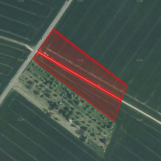 Prodej zemědělské půdy 6 461 m² Bochoř
