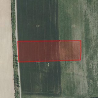Prodej zemědělské půdy 15 719 m² Lukavice