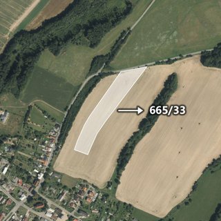 Prodej zemědělské půdy 5 299 m² Domašov u Šternberka