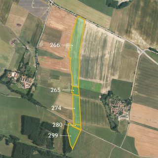 Prodej zemědělské půdy 137 556 m² Němčice