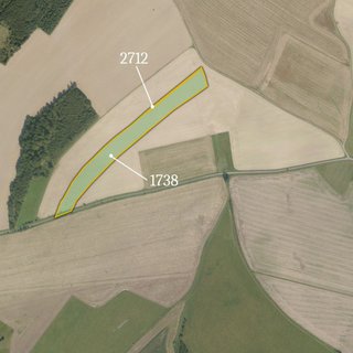 Prodej zemědělské půdy 12 092 m² Jindřichov