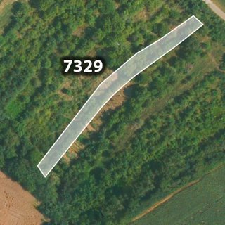 Prodej zemědělské půdy 2 131 m² Lovčice