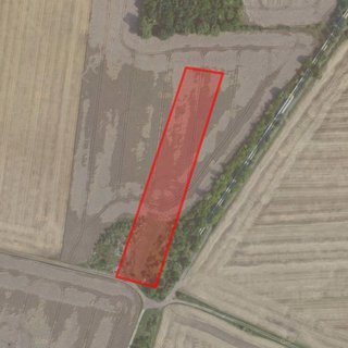 Prodej zemědělské půdy 9 485 m² Hovorčovice