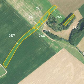 Prodej zemědělské půdy 19 122 m² Kraborovice