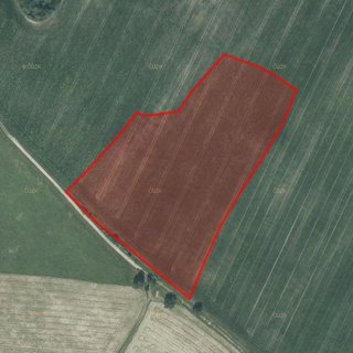 Prodej zemědělské půdy 28 724 m² Nové Lublice