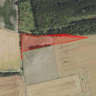 Prodej zemědělské půdy 9 807 m² Nové Strašecí