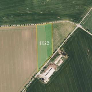Prodej zemědělské půdy 12 255 m² Zeleneč