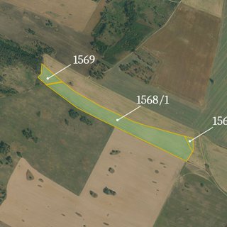 Prodej zemědělské půdy 16 702 m² Vladislav