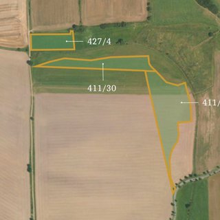 Prodej zemědělské půdy 31 369 m² Lážovice
