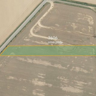 Prodej zemědělské půdy 4 666 m² Pavlov