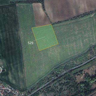 Prodej zemědělské půdy 10 622 m² Zvoleněves