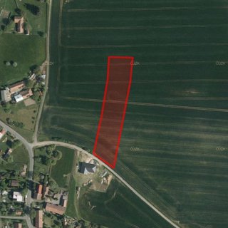 Prodej zemědělské půdy 5 251 m² Morašice
